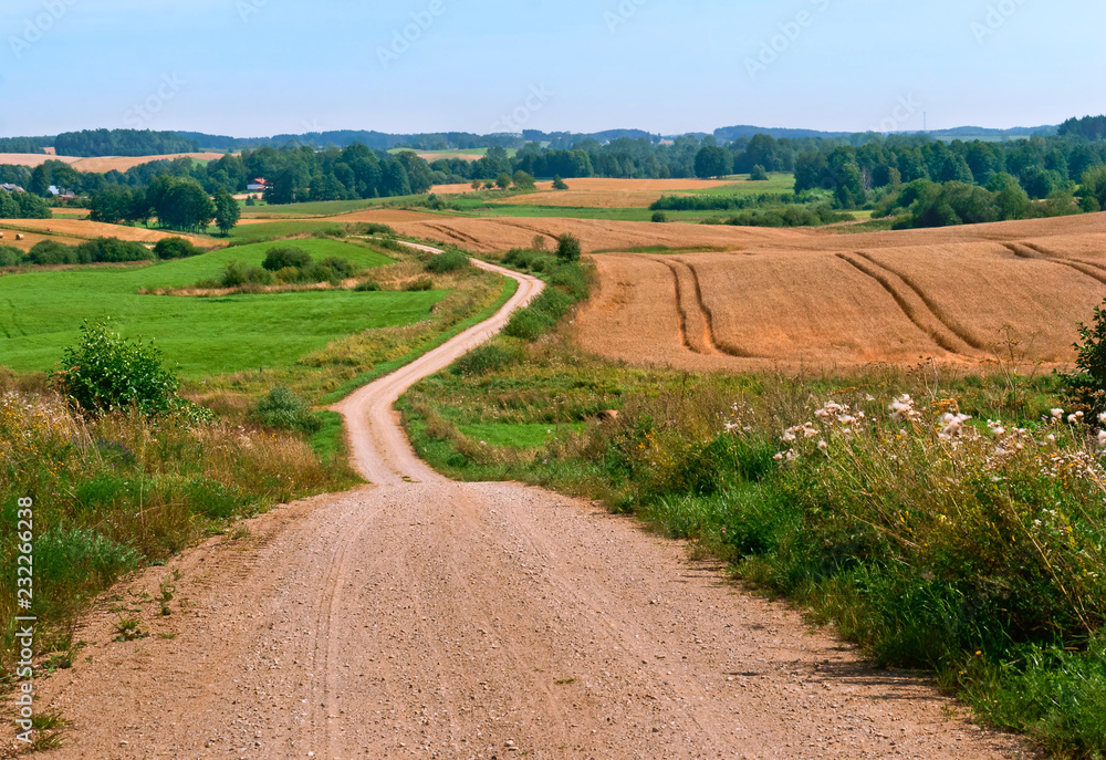 A long road in an arable field. Farmland. A beautiful field road.