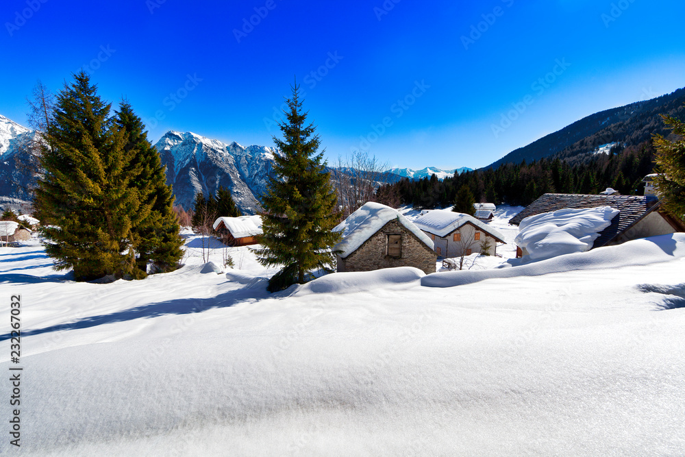 Village winter landscape