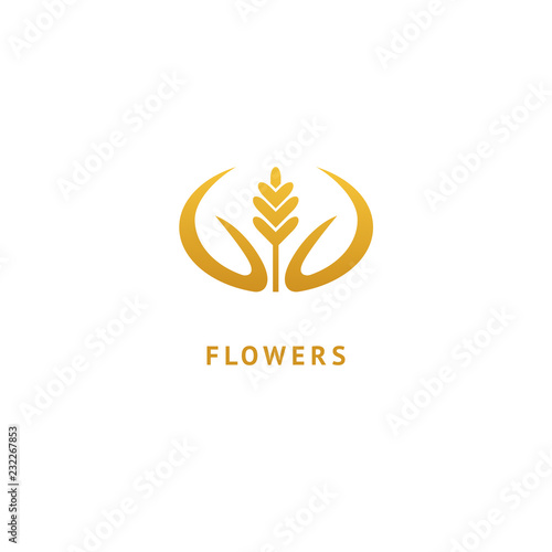 Vector stock logo, abstract nature sign. Illustration design of elegant, premium and royal logotype bakery, bread, agroculture, grain, millet, field, flour. Vector icon of gold ear.
