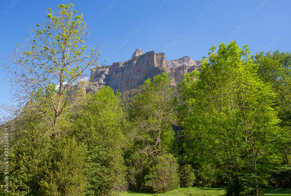 Landscape with trees and mountain in the background on a sunny day in Ordesa National Park, Spain. Landscape.