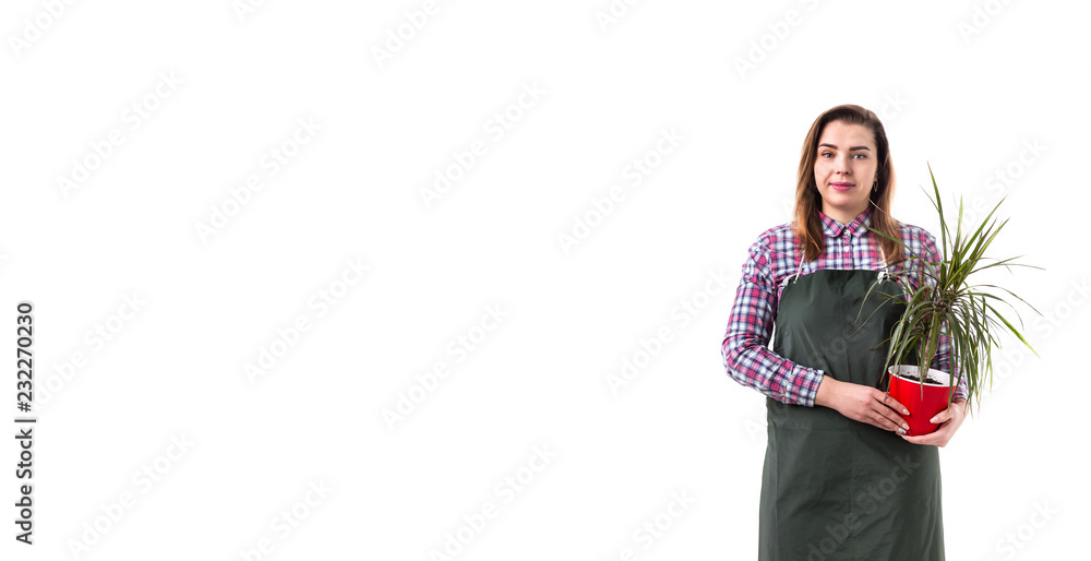 woman professional gardener or florist in apron holding flowers in a pot isolated on white background woman professional gardener or florist in apron holding flowers in a pot isolated on white background