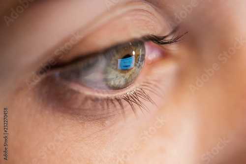vision, business and education concept - close up of woman eye looking at computer screen