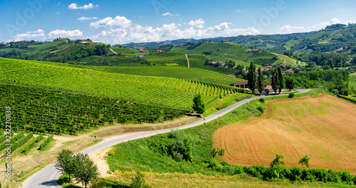 Cuadro en lienzo Vineyards near Barbaresco, Cuneo, in Langhe