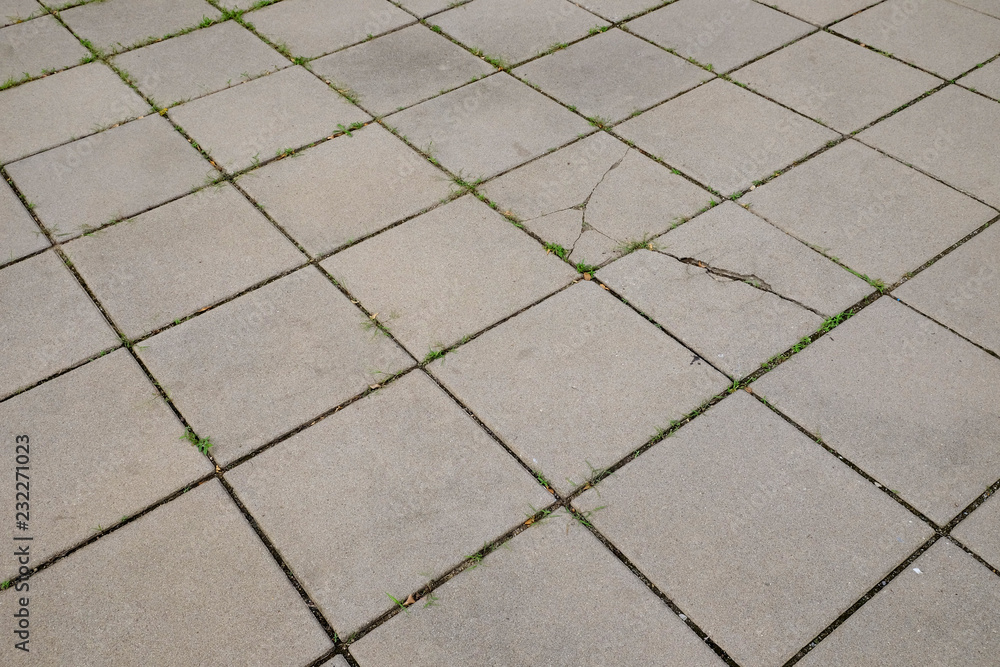 Fototapeta premium block cement floor with grass