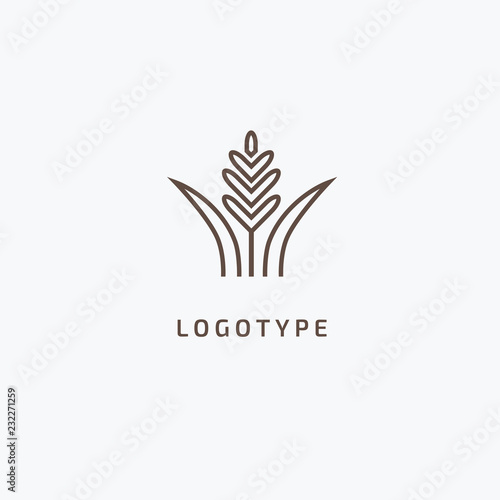 Vector stock logo, abstract nature sign. Illustration design of elegant, premium and royal logotype bakery, bread, agroculture, grain, millet, field, flour. Vector icon of gold ear.