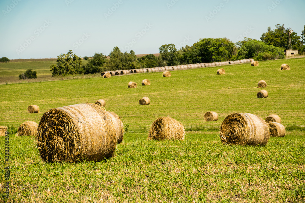 Farm rolls
