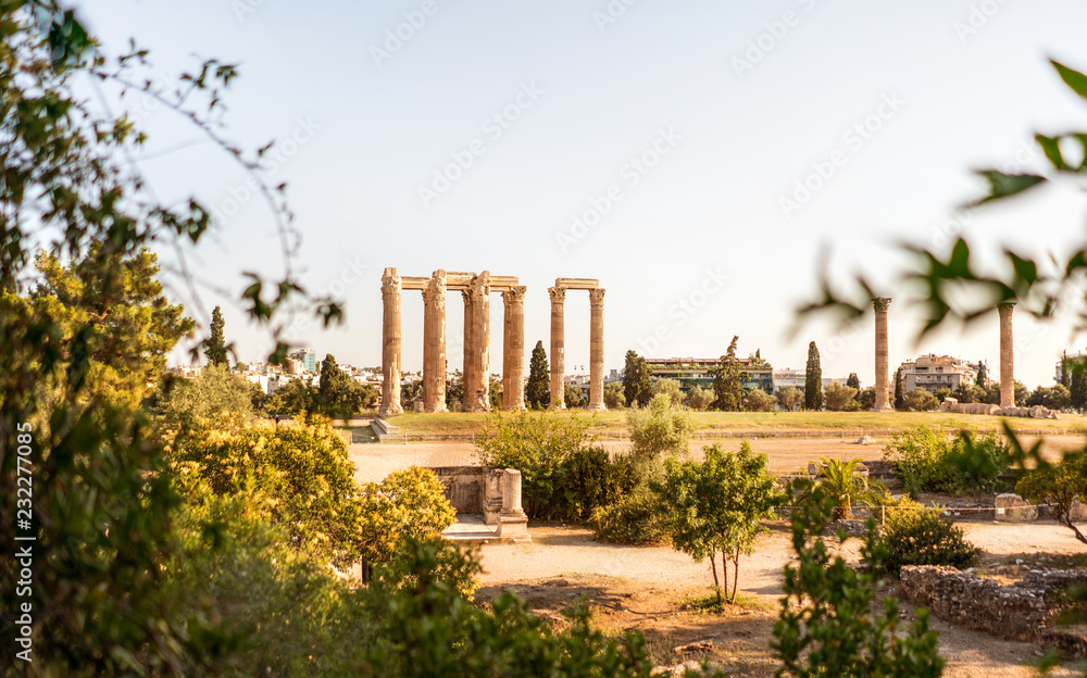 Ancient column ruins in Athens city framed with green branches.