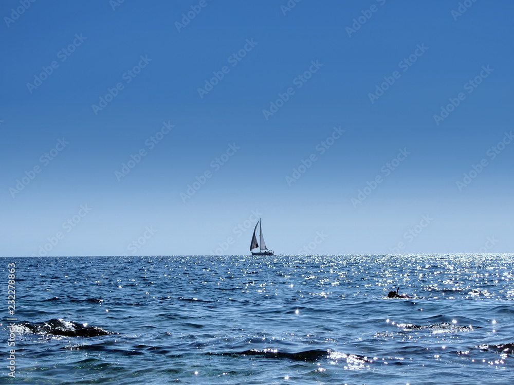 Fototapeta premium OLYMPUS DIGITAL CAMERA