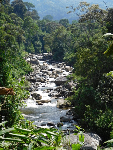 Streams and rivers at Rwenzori Mountains  Uganda