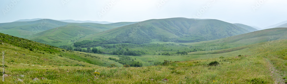 panorama of grassy green hills in spring