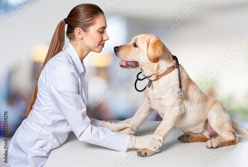 Woman veterinarian.