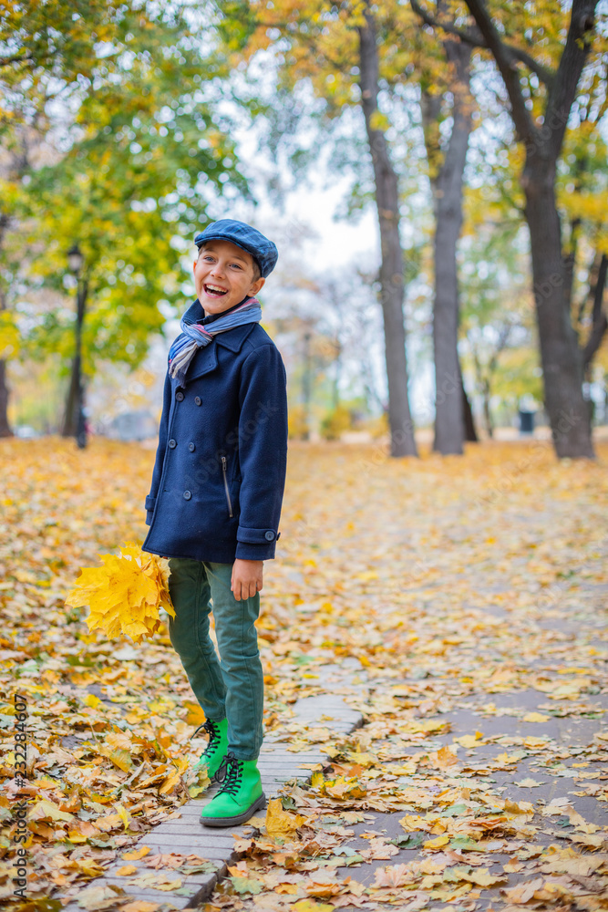 Beautiful child boy in the autumn nature