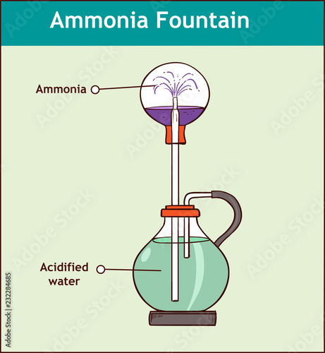 Ammonia fountain experiment to demonstrate the solubility of ammonia gas. Fully labelled diagram