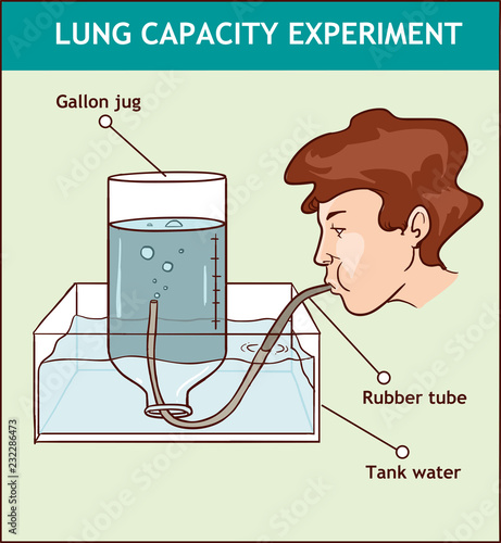 vector illustration of a Lung Capacity Experiment