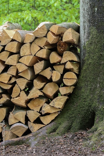 Obraz na płótnie Bois de chauffage w salonie