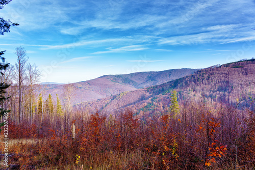 Fototapeta Naklejka Na Ścianę i Meble -  Foliage colors in Polish Beskidy mountains, Beskid Slaski, Poland