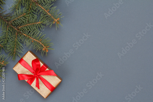 Wallpaper Mural Gift box and fir tree branches on gray background Torontodigital.ca