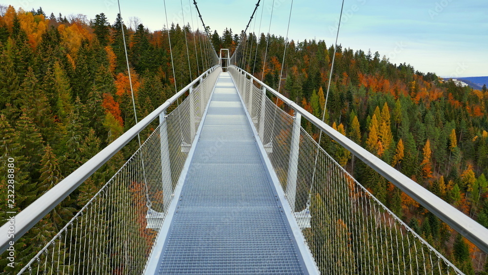zentraler Blick über lange Hängebrücke in Bad Wildbad auf bunten Herbstwald