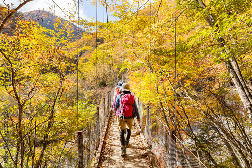 鮮やかな紅葉の登山道 © taka