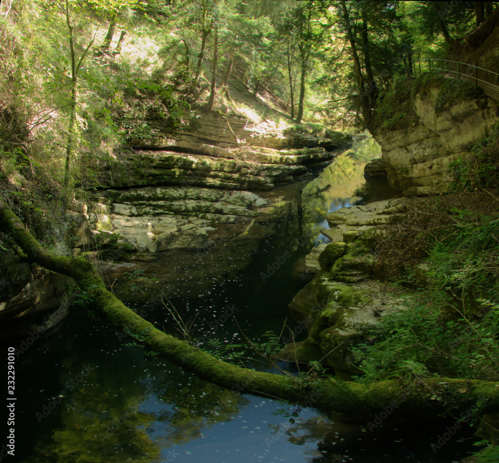 Fototapeta premium Section of the lower ravine in the Gorges de l'Areuses, Romandie
