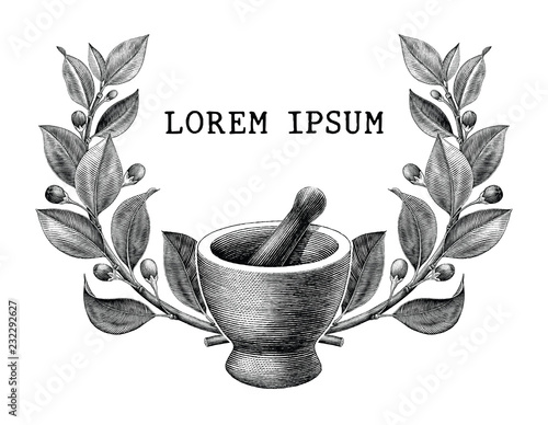 Mortar and pestle with herbs frame vintage engraving illustration logo isolated on white background,Logo of pharmacy and medicine