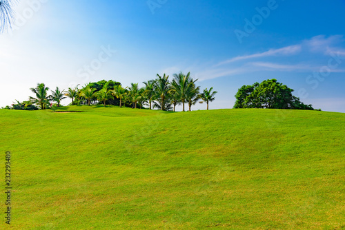 Fototapeta Naklejka Na Ścianę i Meble -  green golf course