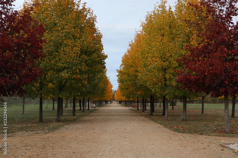 Naklejka premium Allee der Steine im Herbst