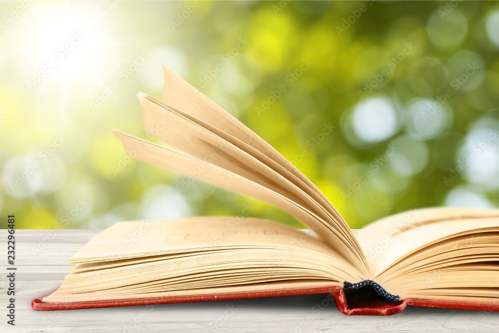 Book. Book.