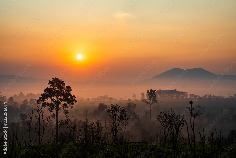 Mountain forest landscape in the morning with the fog in the summer season.National Park with fog and humidity. Mountain forest landscape in the morning with the fog in the summer season.National Park with fog and humidity.