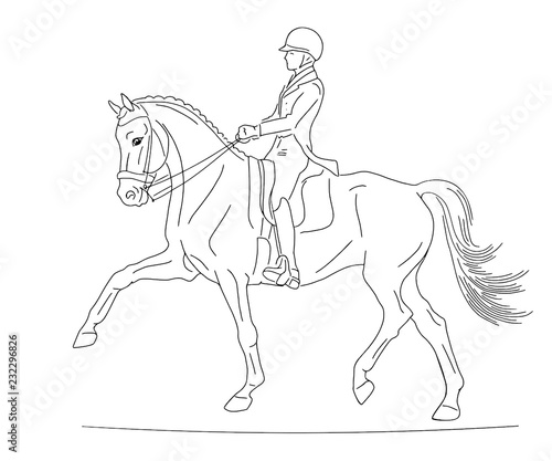 Equestrian sport. Vector illustration of a dressage rider on a horse.