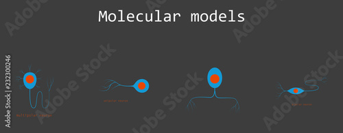 Set of Structure of a motor neuron, vector illustration
