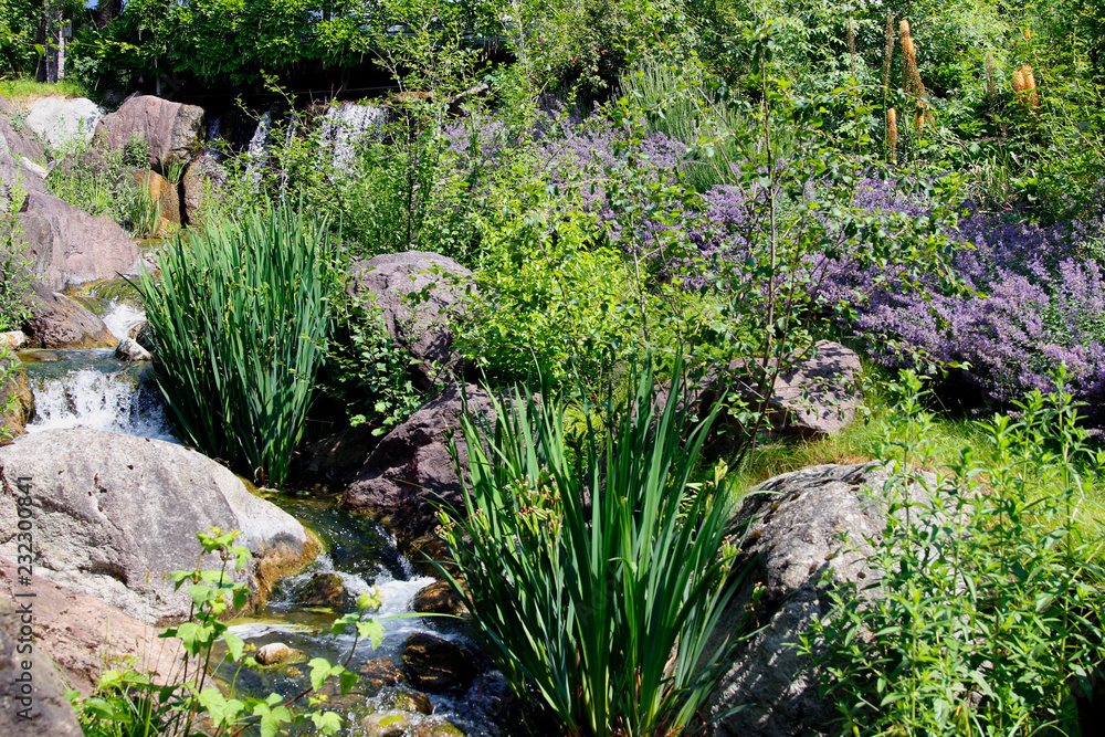 Obraz premium Ziergarten mit kleinem Bach
