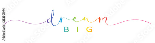 DREAM BIG brush calligraphy banner
