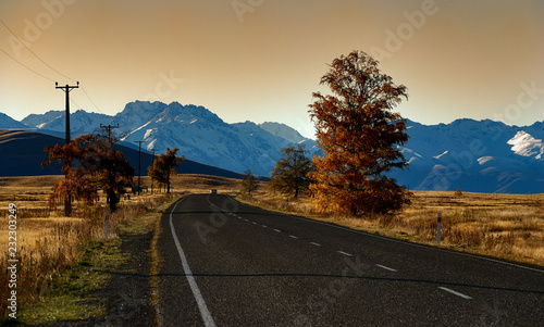 Along the Makenzie Basin, New Zealand photo