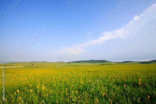 blue sky and white clouds in the WuLanBuTong grassland  China