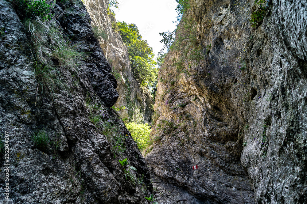 Gola lungo il sentiero nel Parco del Monte Cucco