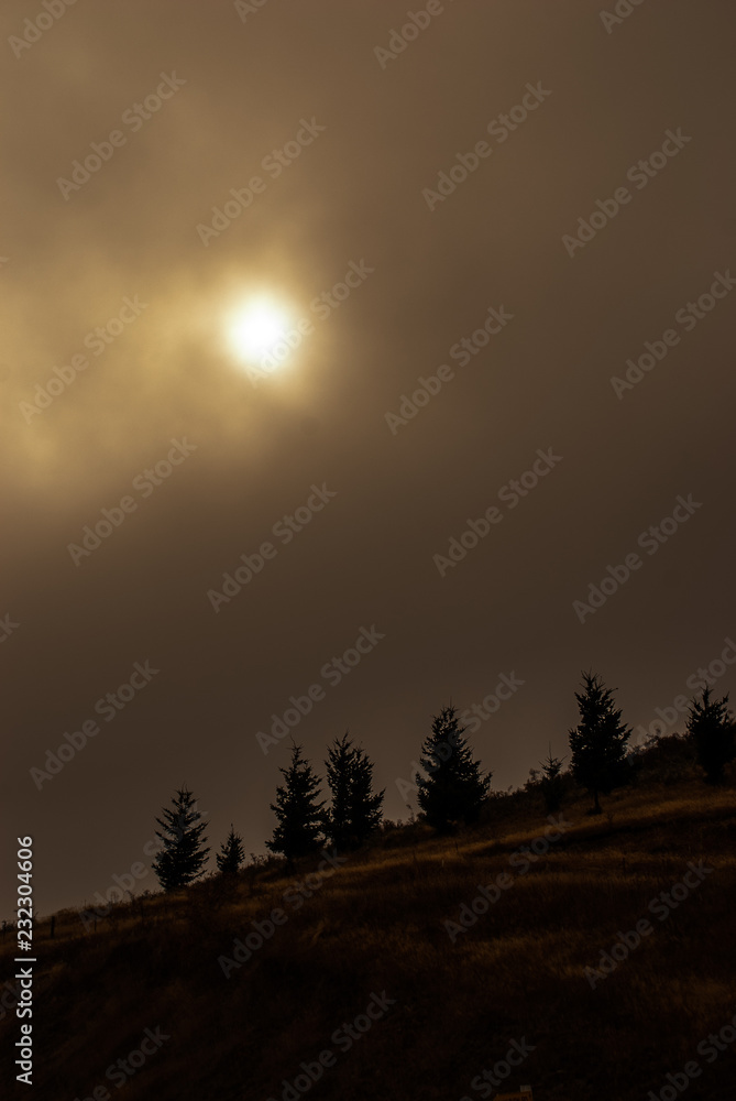 Fototapeta premium Sunrise in fog