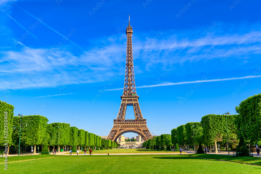 Fototapeta premium Paris Eiffel Tower and Champ de Mars in Paris, France. Eiffel Tower is one of the most iconic landmarks in Paris. The Champ de Mars is a large public park in Paris