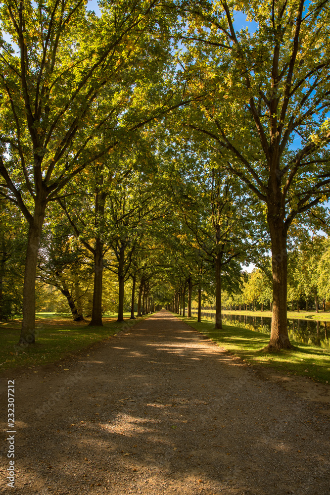 Allee in der kasseler Karls Aue