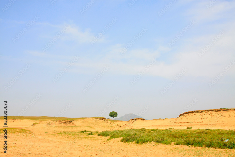 Obraz premium desertification grassland in the WuLanBuTong grassland, China