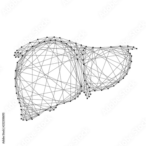 Human liver organ gland of external secretion body from abstract futuristic polygonal black lines and dots. Vector illustration.