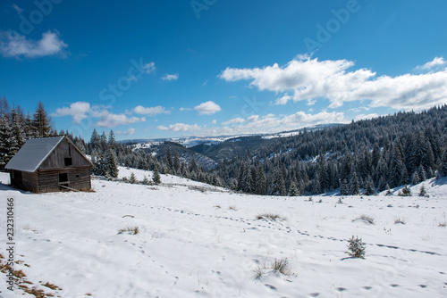 Winter woderland with chalet © salajean