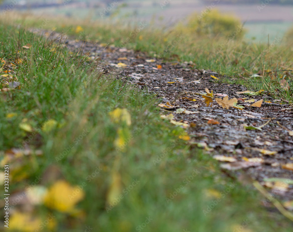 Eine Spur Herbst, der Feldweg im Herbst,Laub Eine Spur Herbst, der Feldweg im Herbst,Laub