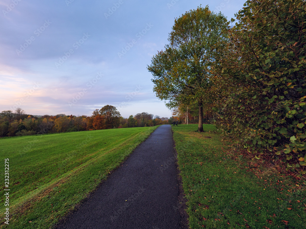  wide angle shoot Autumn forest morning,Northern Ireland