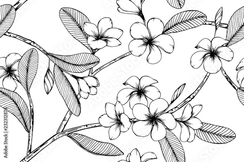 Hawaiian flower tropical leaves pattern seamless background illustration.