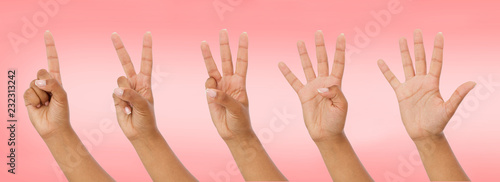 black hand showing one to five fingers count signs isolated on pink background with Clipping path included. Communication gestures concept,mock up
