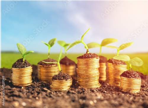 Coins in soil with young plants on background