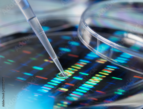 Pipette adding sample to petri dish with DNA profiles in background photo