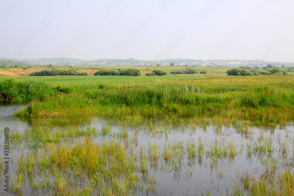 marsh in the grassland marsh in the grassland