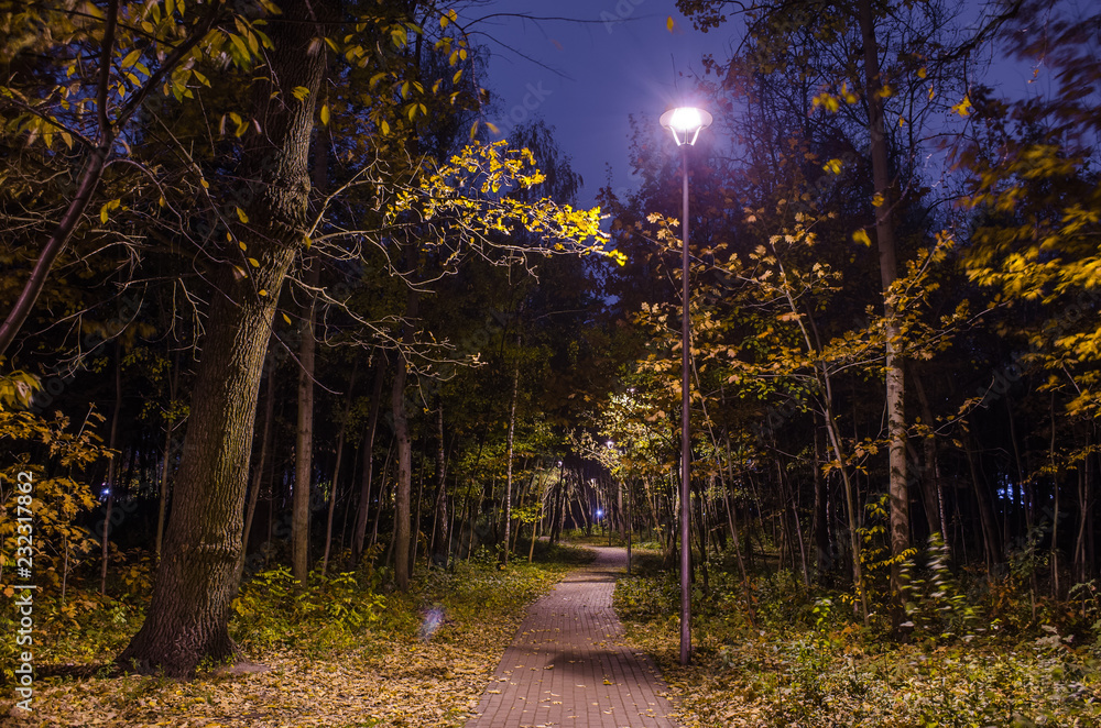 Fototapeta premium Mystical trail in the night forest in the park with glowing lanterns. Landscape of night park in the autumn.
